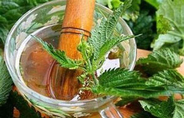Nettle has a useful effect in potential