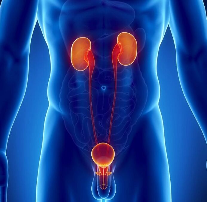 What chronic diseases can affect male potential